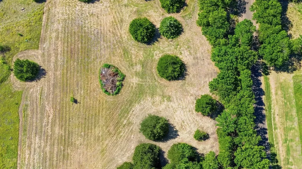 TBD3 Stafford Italy TX 76651
