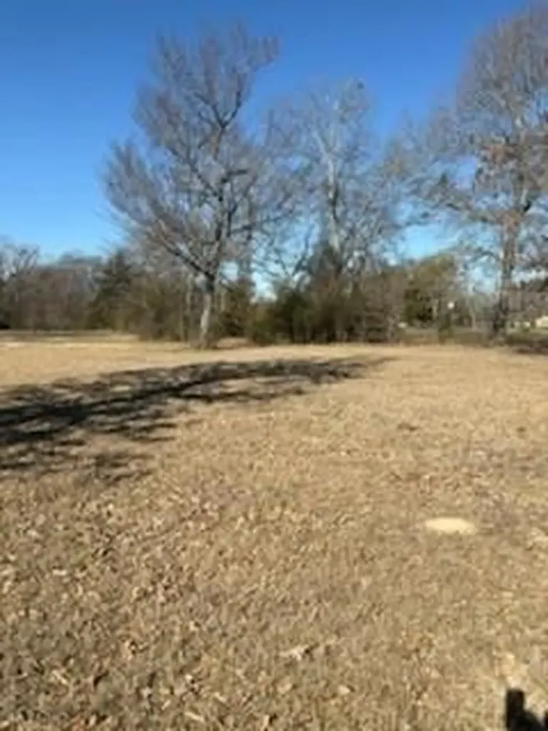 00 S Fm 314 Highway Van TX 75790
