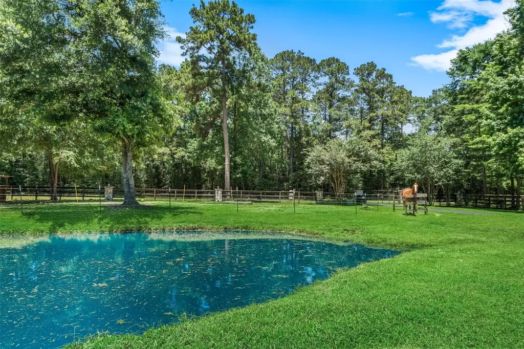 12300 Cedar Willis TX 77378