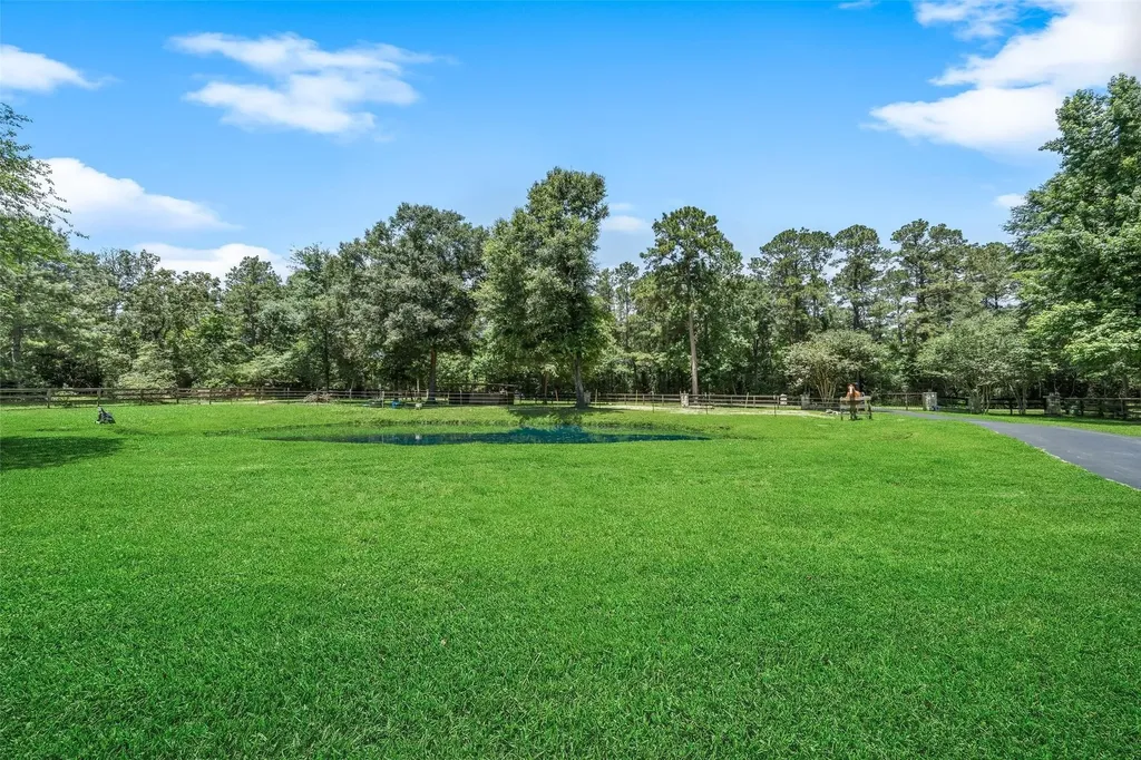 12300 Cedar Willis TX 77378