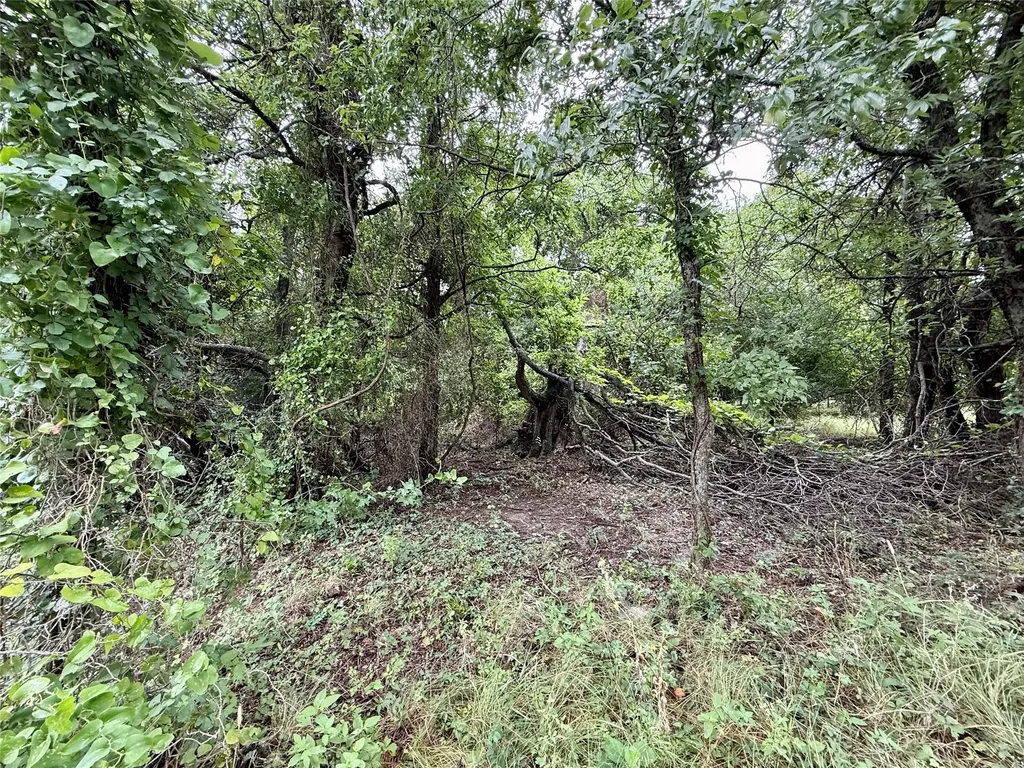 Tbd Farm Road Dublin TX 76446