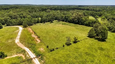 Tbd County Road 235 Beckville TX 75631