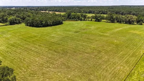 Tbd County Road 235 Beckville TX 75631