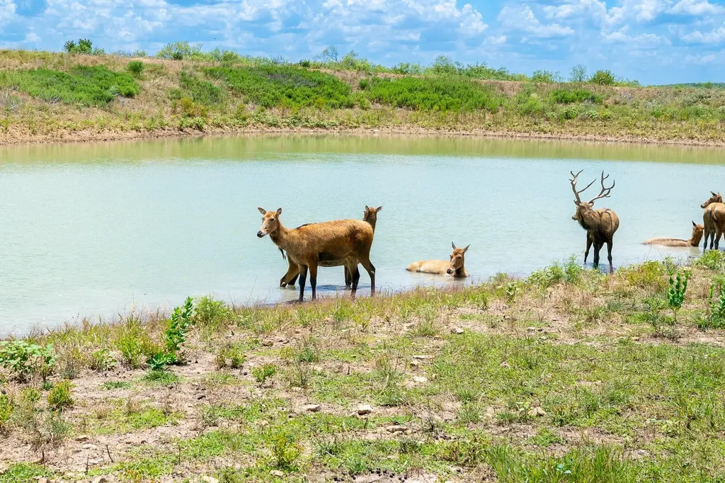 2671 Fm 2926 Clyde TX 79510
