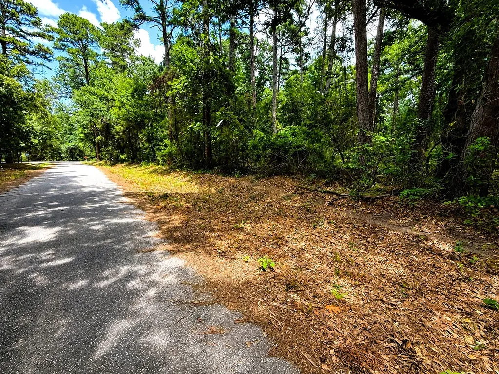 Tbd Lot 4 County Road 4557 Winnsboro TX 75494