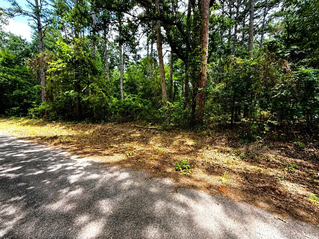 Tbd Lot 4 County Road 4557 Winnsboro TX 75494