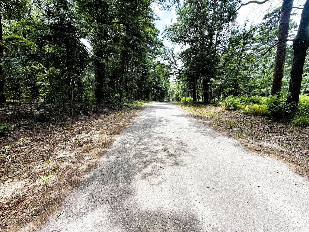 Tbd Lot 4 County Road 4557 Winnsboro TX 75494