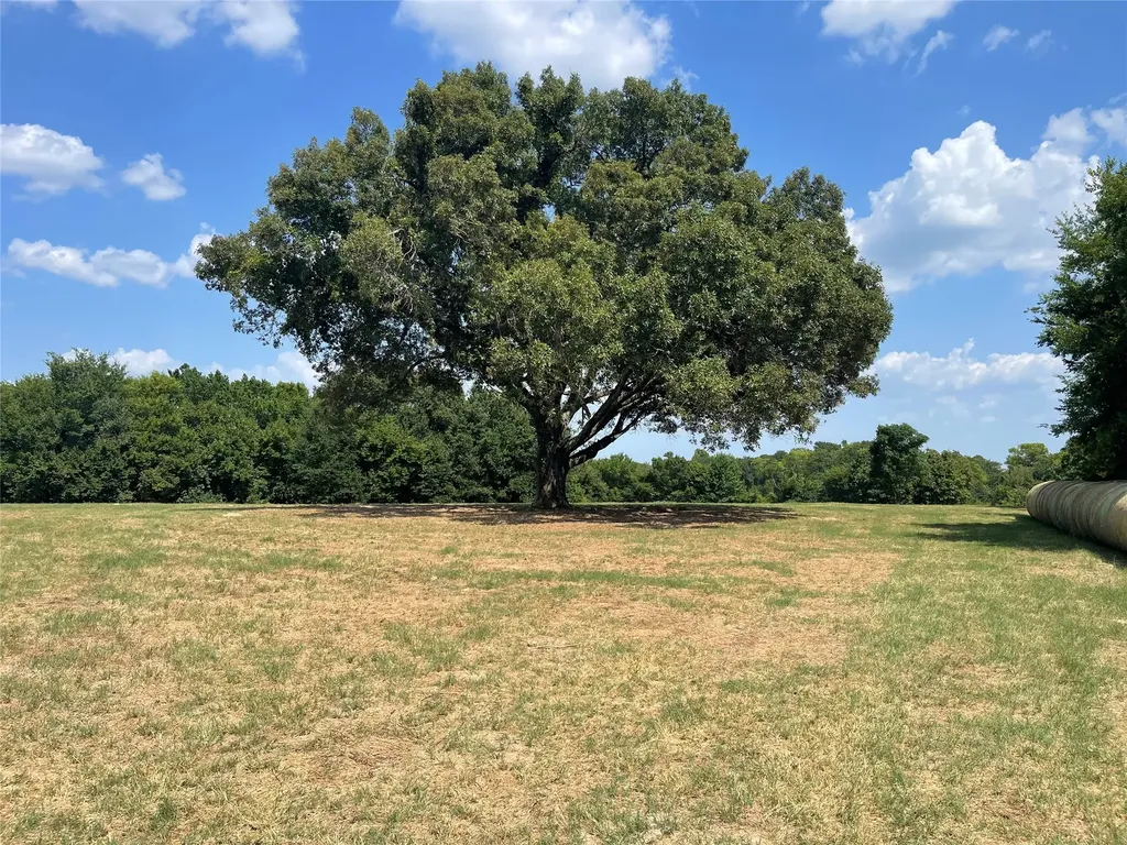 Tbd Vz County Road 2316 Canton TX 75103