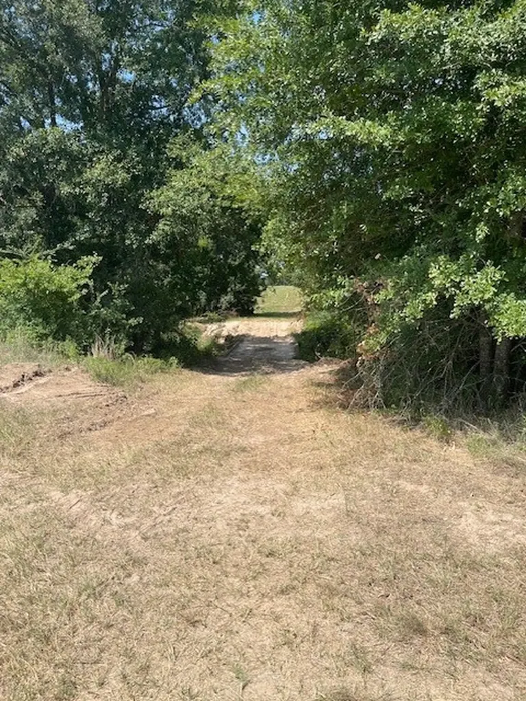Tbd Vz County Road 2316 Canton TX 75103