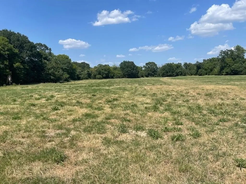 Tbd Vz County Road 2316 Canton TX 75103