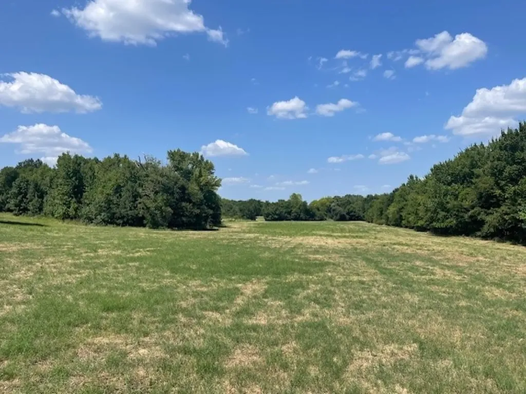 Tbd Vz County Road 2316 Canton TX 75103