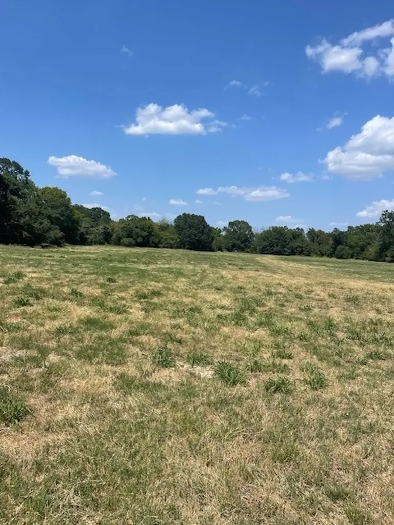 Tbd Vz County Road 2316 Canton TX 75103