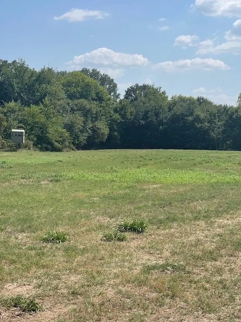 Tbd Vz County Road 2316 Canton TX 75103