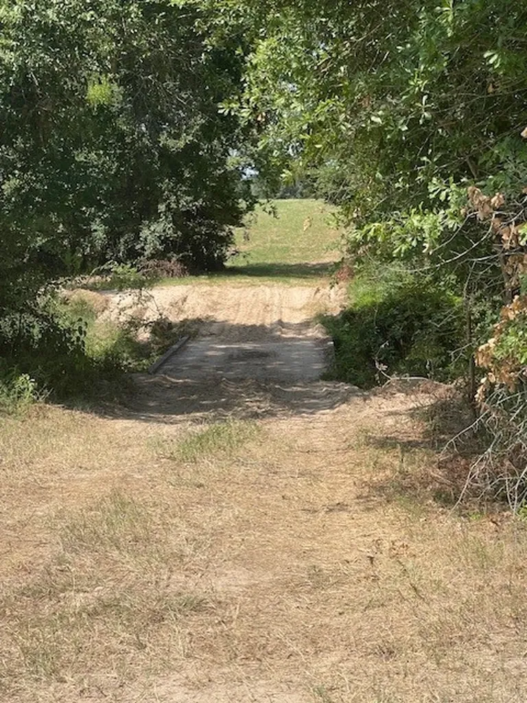 Tbd Vz County Road 2316 Canton TX 75103