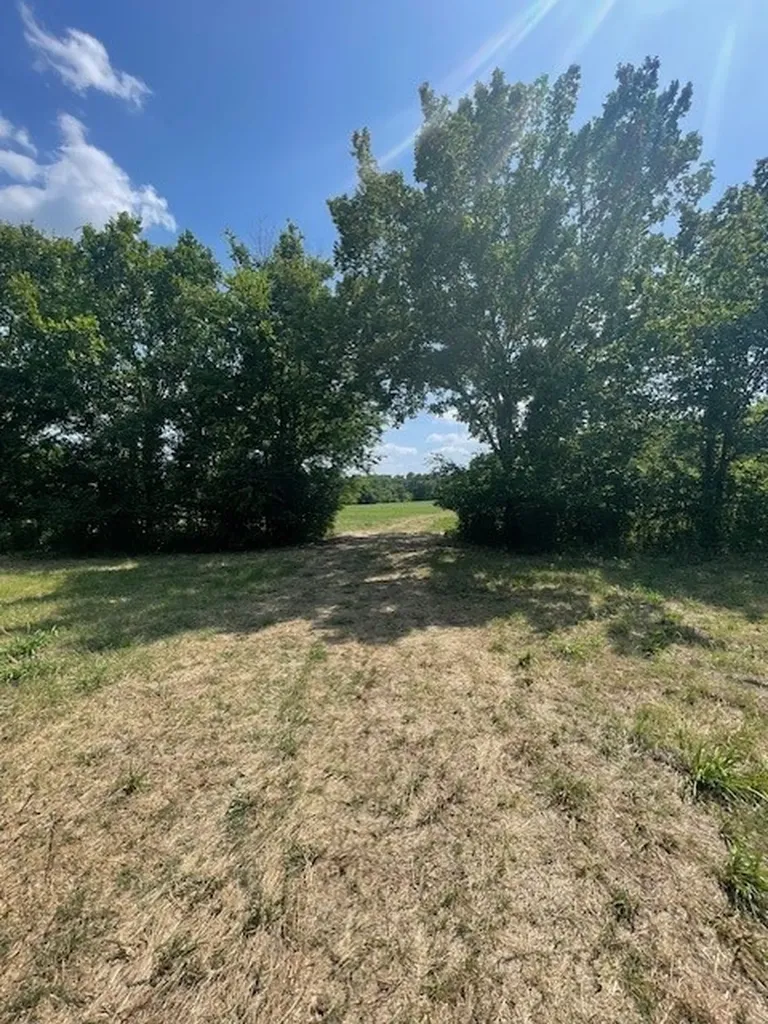 Tbd Vz County Road 2316 Canton TX 75103