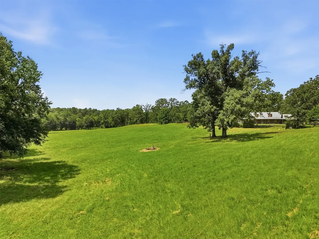 159 County Road 3195 Winnsboro TX 75494