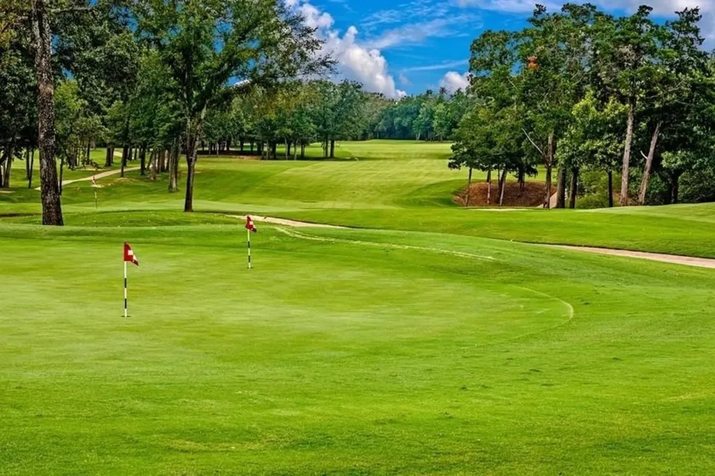 280 Roaring Fork Circle Gordonville TX 76245