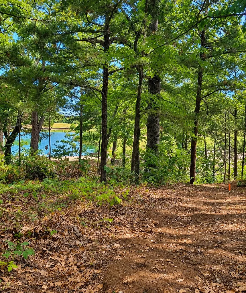 280 Roaring Fork Circle Gordonville TX 76245