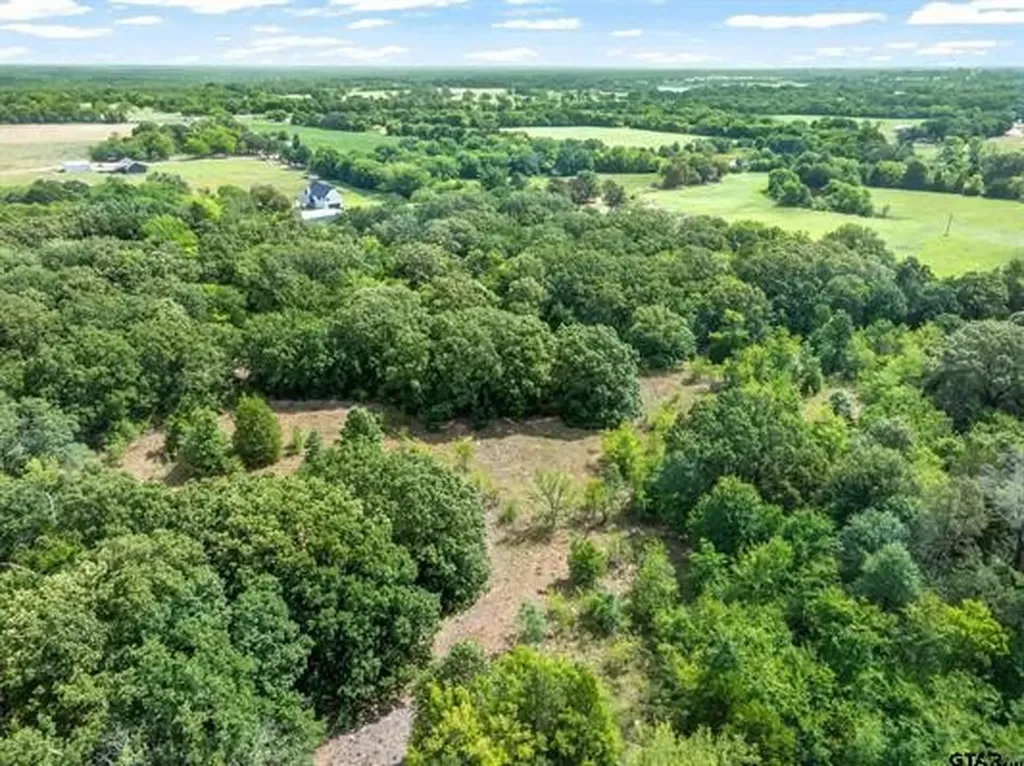 Lot 1 Vz Cr 1818 Fruitvale TX 75127