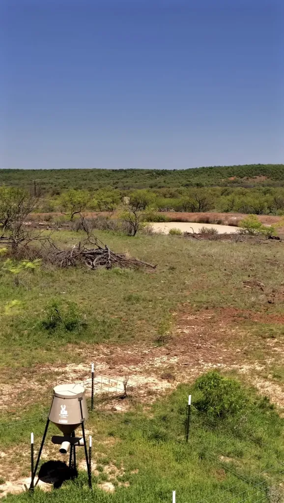 163 Campbell Lane Jacksboro TX 76458