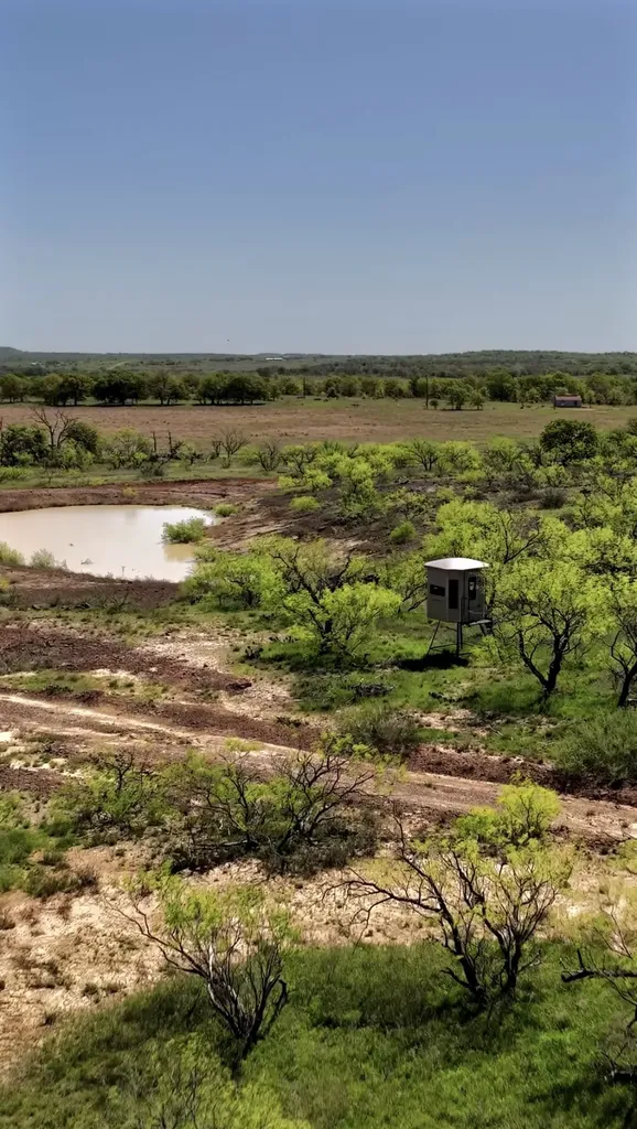 163 Campbell Lane Jacksboro TX 76458