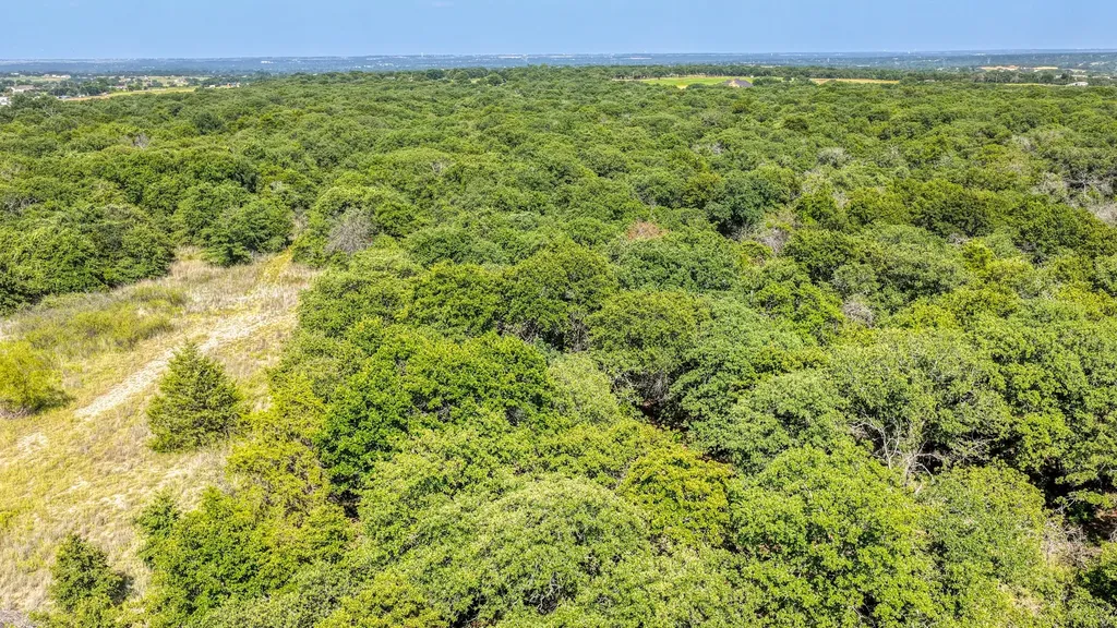 Tbd 1 Timber Oaks Lane Boyd TX 76023