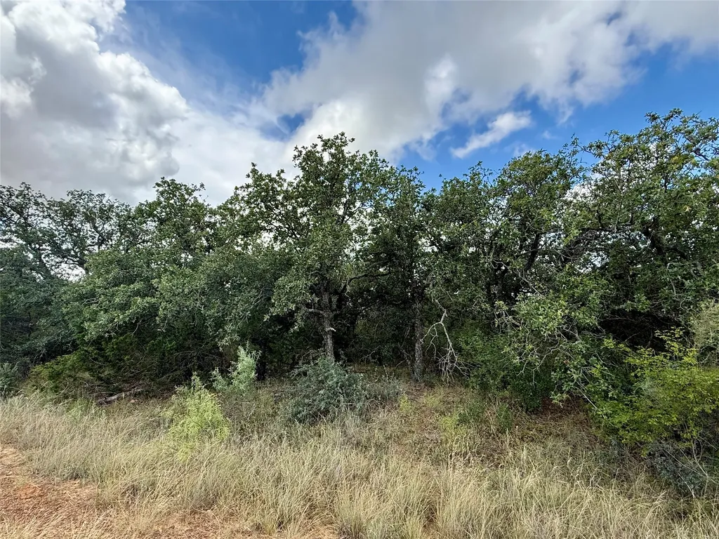 405 County Road 102 Santa Anna TX 76878
