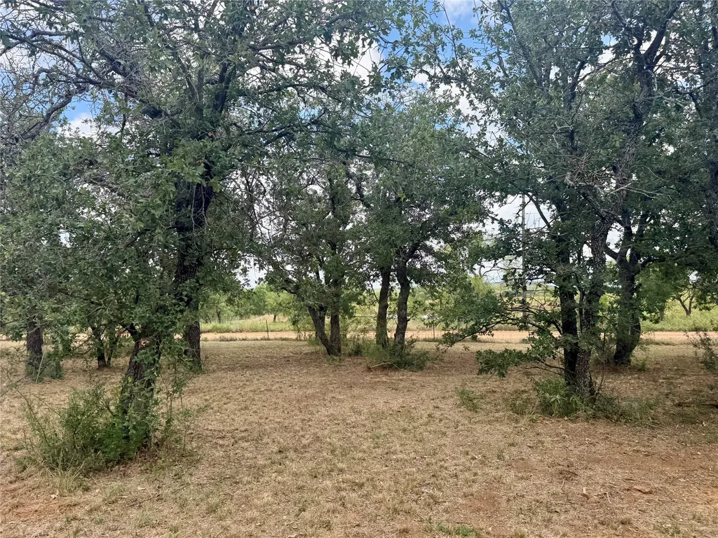 405 County Road 102 Santa Anna TX 76878
