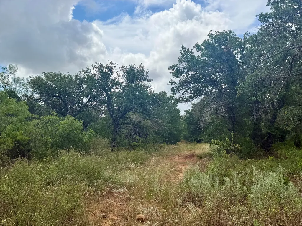 405 County Road 102 Santa Anna TX 76878