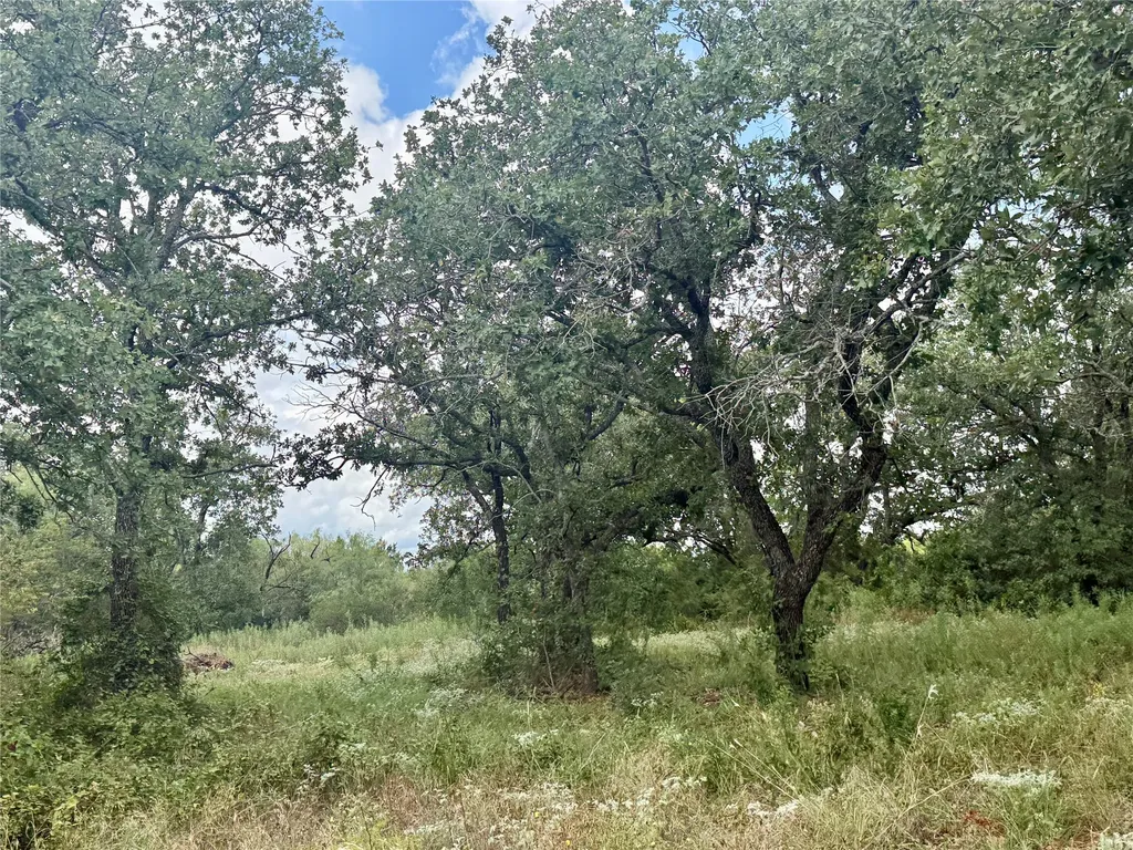 405 County Road 102 Santa Anna TX 76878