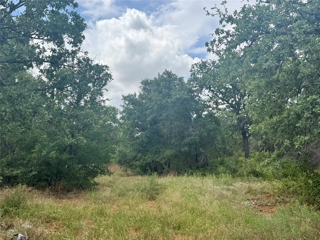 405 County Road 102 Santa Anna TX 76878