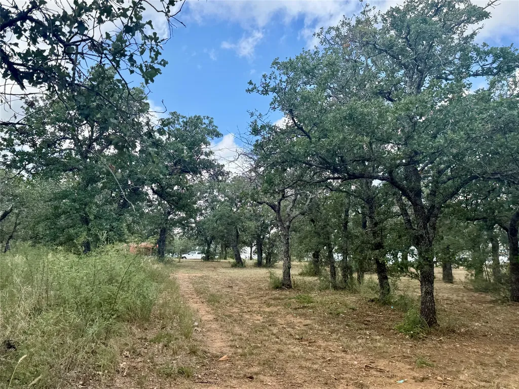 405 County Road 102 Santa Anna TX 76878