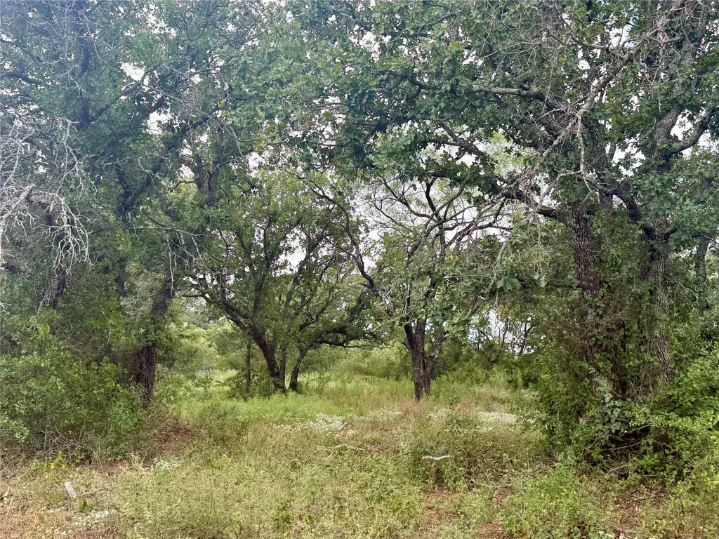 405 County Road 102 Santa Anna TX 76878