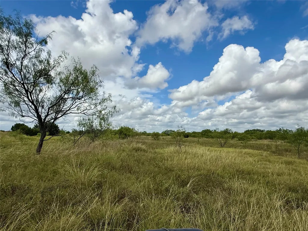 405 County Road 102 Santa Anna TX 76878
