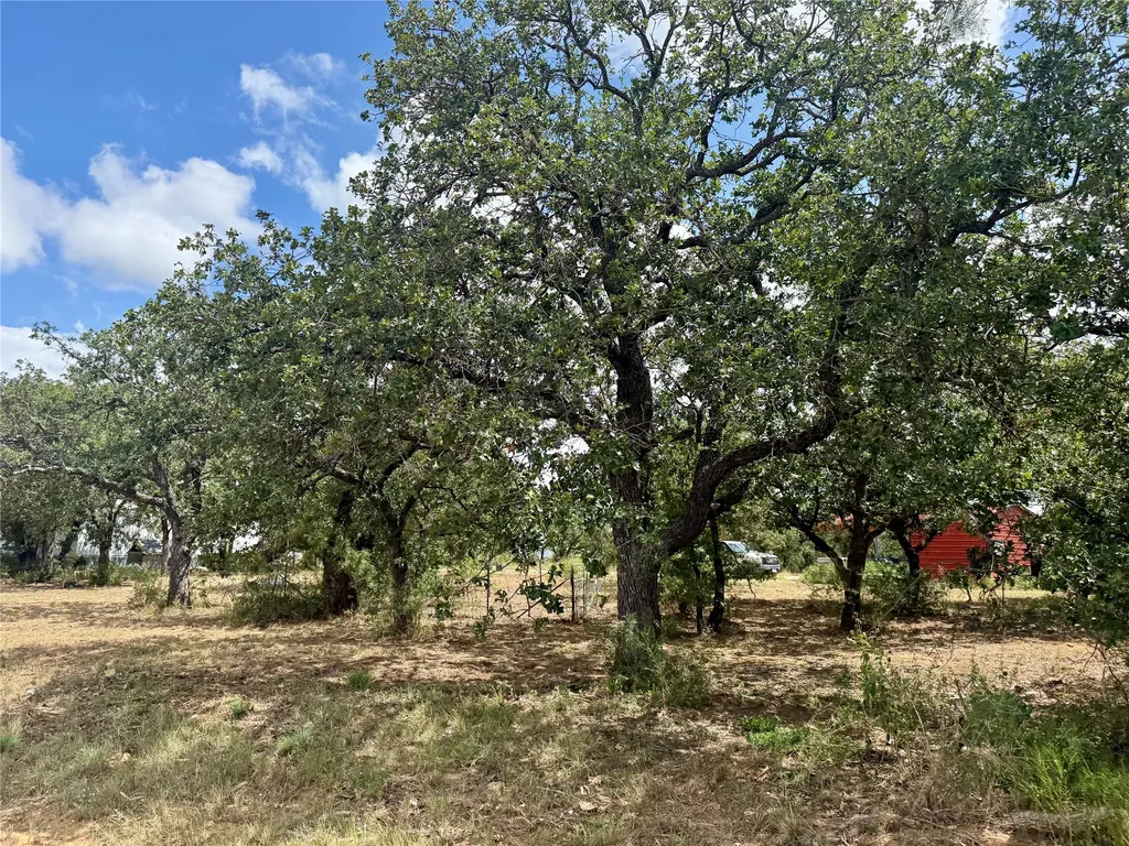 405 County Road 102 Santa Anna TX 76878