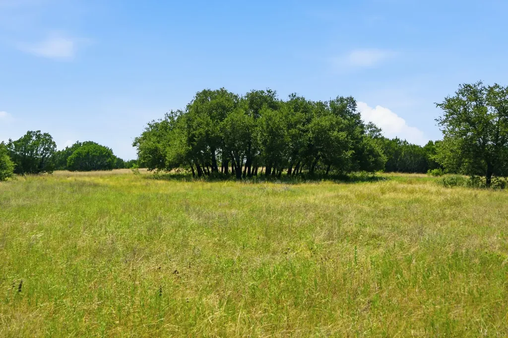 Tbd Fm 216 Iredell TX 76649