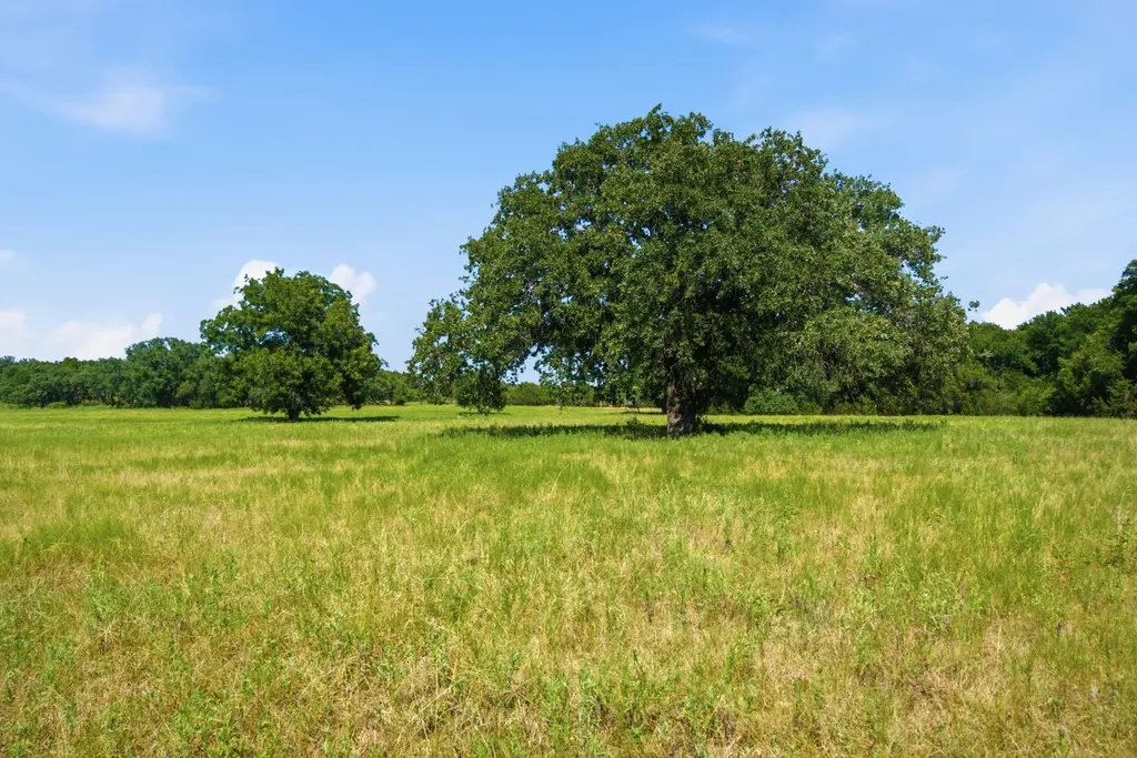 Tbd Fm 216 Iredell TX 76649