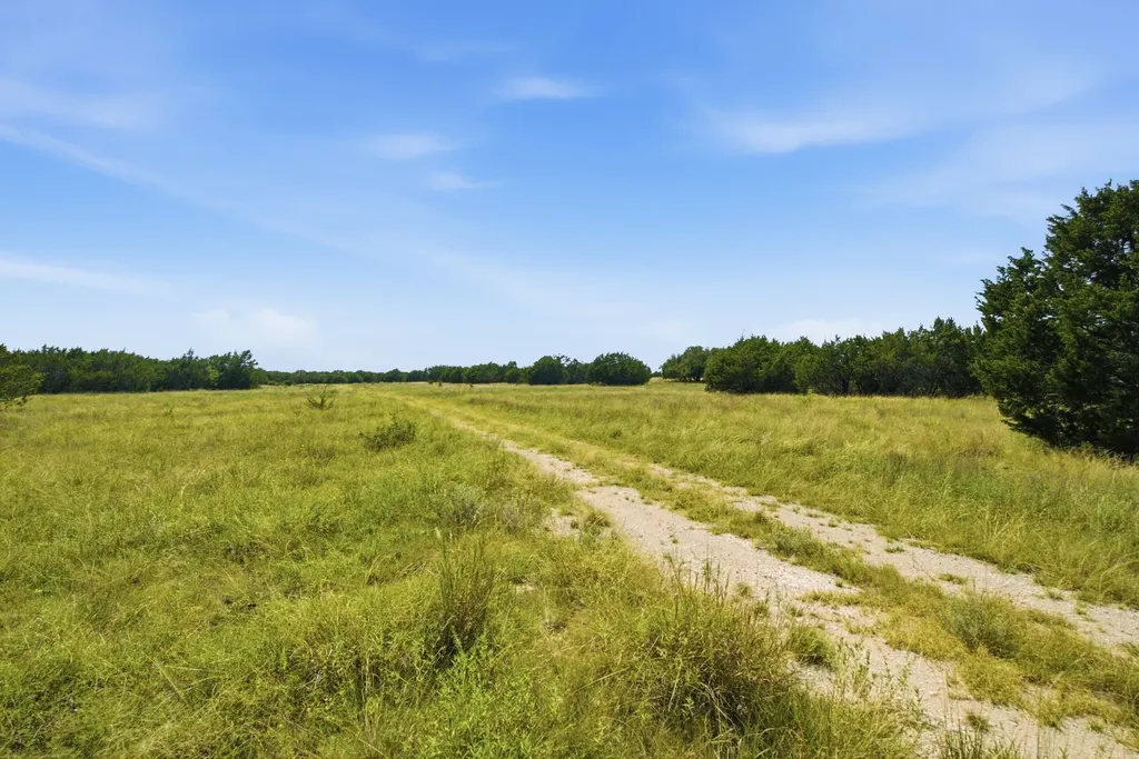 Tbd Fm 216 Iredell TX 76649