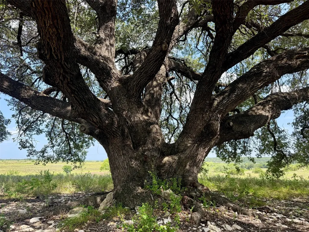 13AC Tbd Pr Fm 2905 Hamilton TX 76531