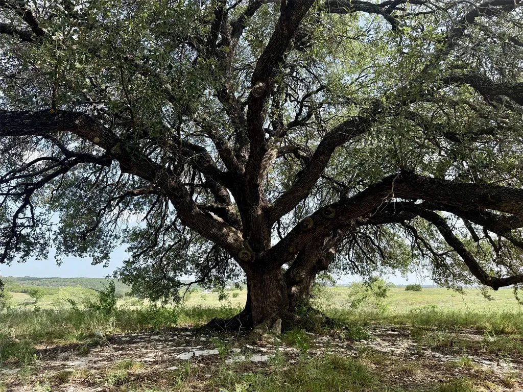 13AC Tbd Pr Fm 2905 Hamilton TX 76531