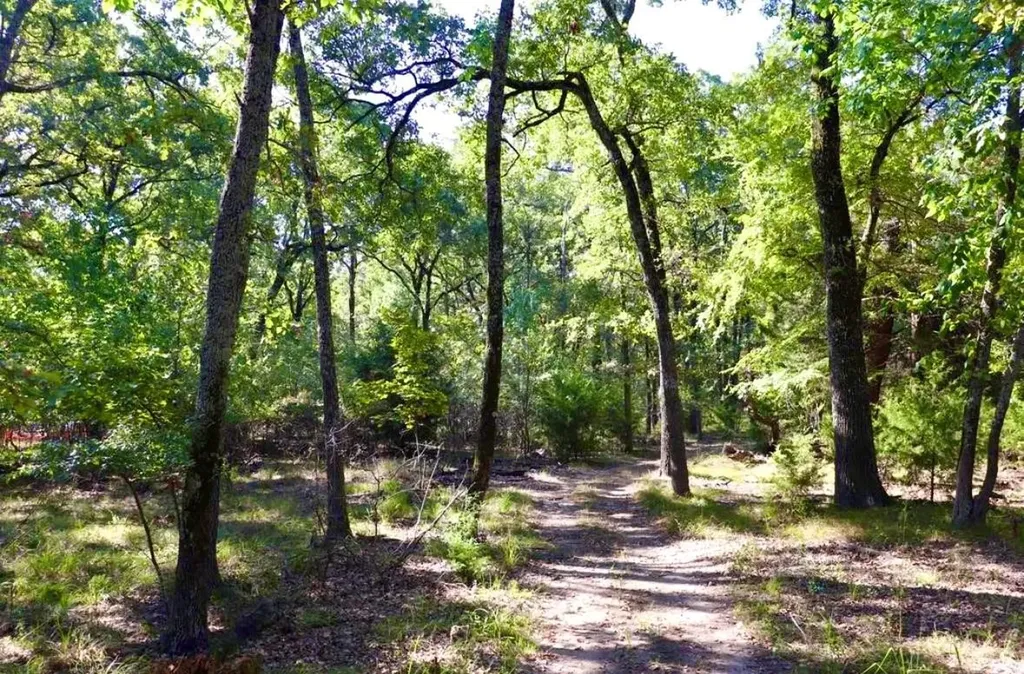 800 Trosper Trace Quinlan TX 75474