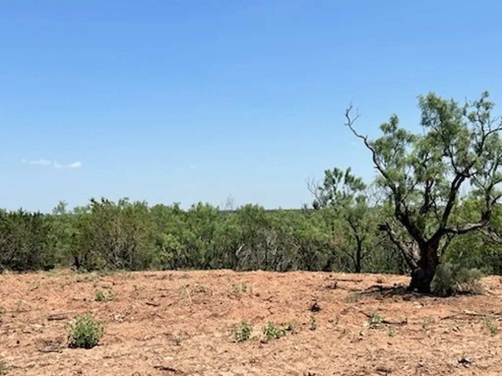 106 Cr 584 Abilene TX 79606