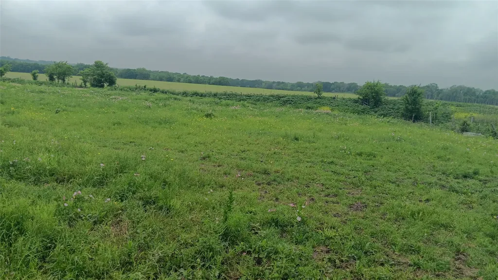 Tbd. Highway 7 Chilton TX 76632