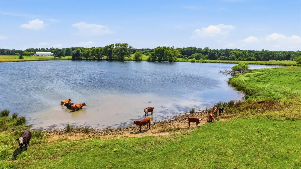 799 Vz County Road 2604 Mabank TX 75147