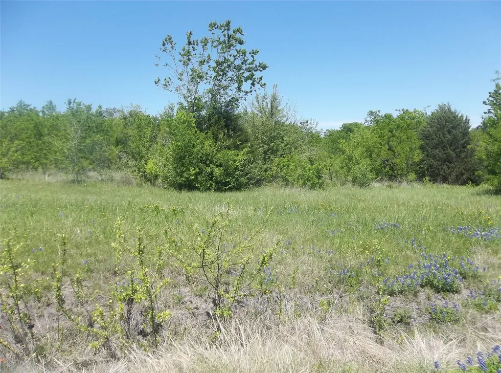 3 Acres S Highway 287 Corsicana TX 75109