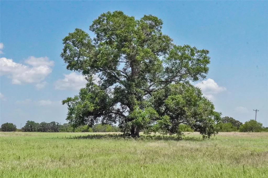 71.63 Acres Slusher Road Jacksboro TX 76458