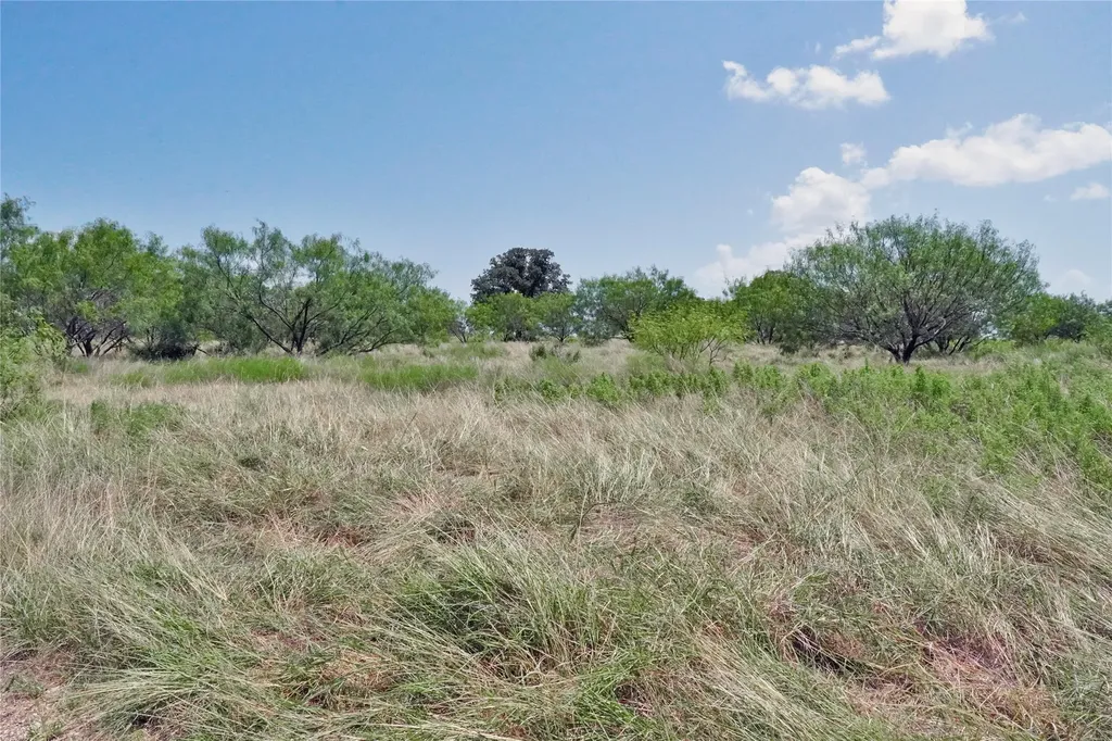 71.63 Acres Slusher Road Jacksboro TX 76458