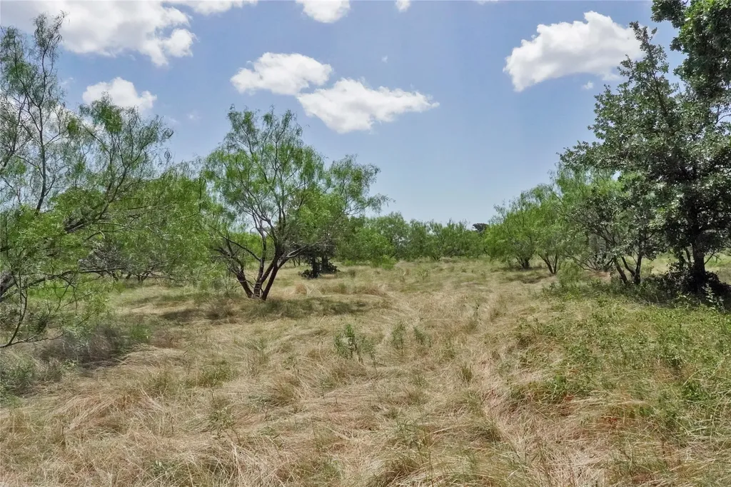 71.63 Acres Slusher Road Jacksboro TX 76458