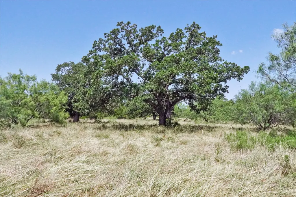 71.63 Acres Slusher Road Jacksboro TX 76458