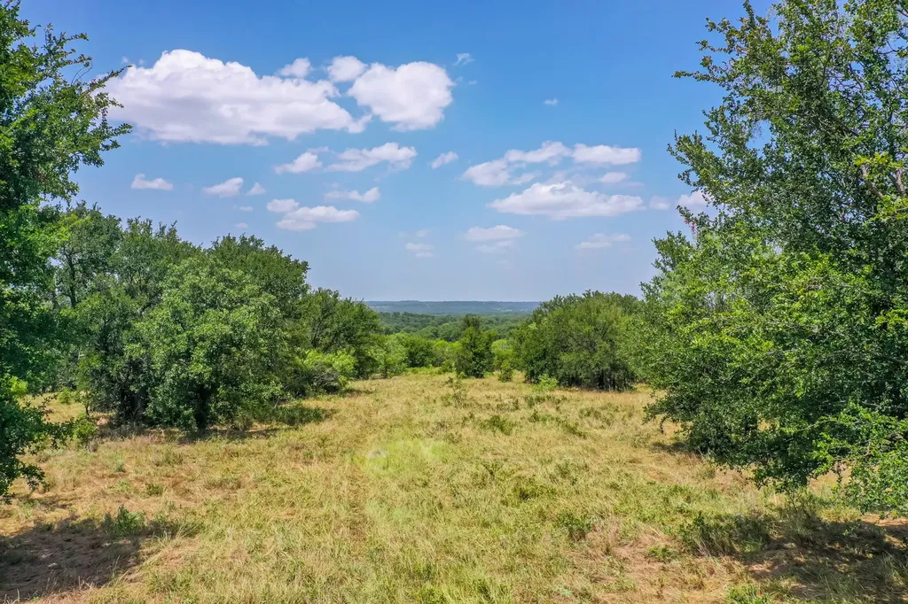 100 Acres Fm 1156 Jacksboro TX 76458